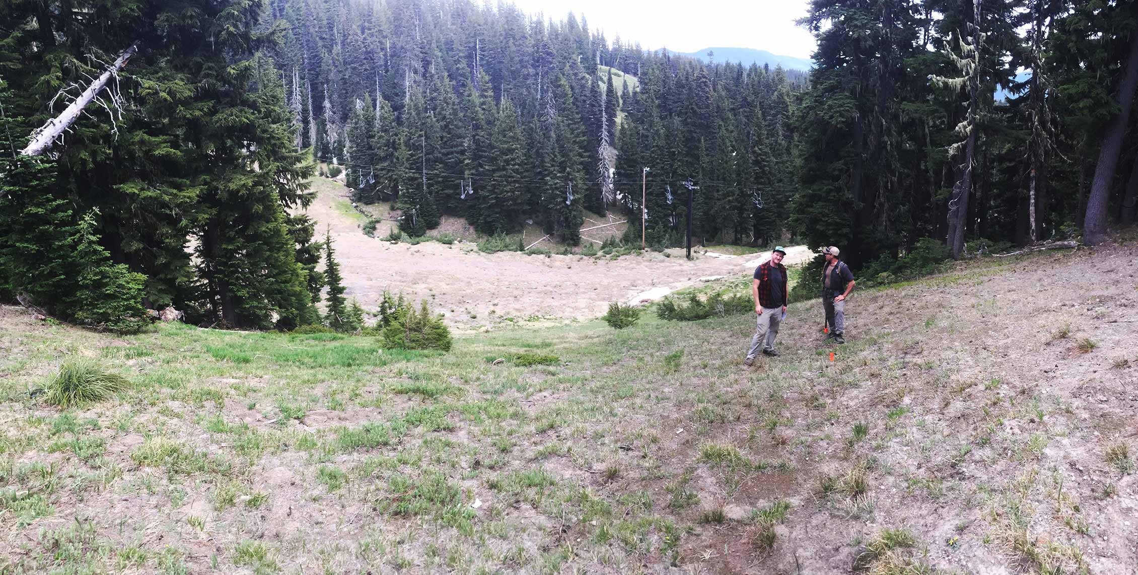 TIMBERLINE BIKE PARK | TIMBERLINE LODGE | Timberline Lodge