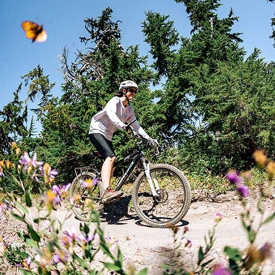 FEMALE MOUNTAIN BIKER RIDING AMONG THE WILDFLOWERS AND BUTTERFLIES AT TIMBERLINE