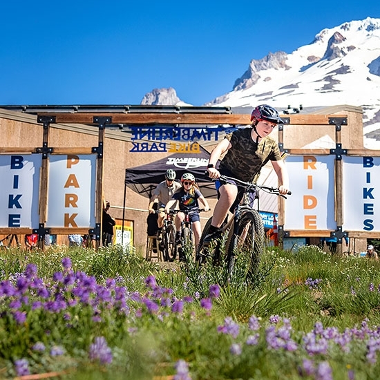 FAMILY OF MOUNTAIN BIKERS ENTERING THE TIMBERLINE BIKE PARK WITH SNOWY MT HOOD IN THE BACKGROUND AND PURPLE FLOWERS IN THE FOREGROUND