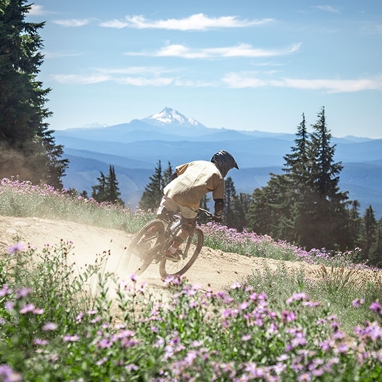 MOUNTAIN BIKER RIDING AMOUNG THE WILDFLOWERS WITH MT JEFFERSON IN THE BACKGROUND