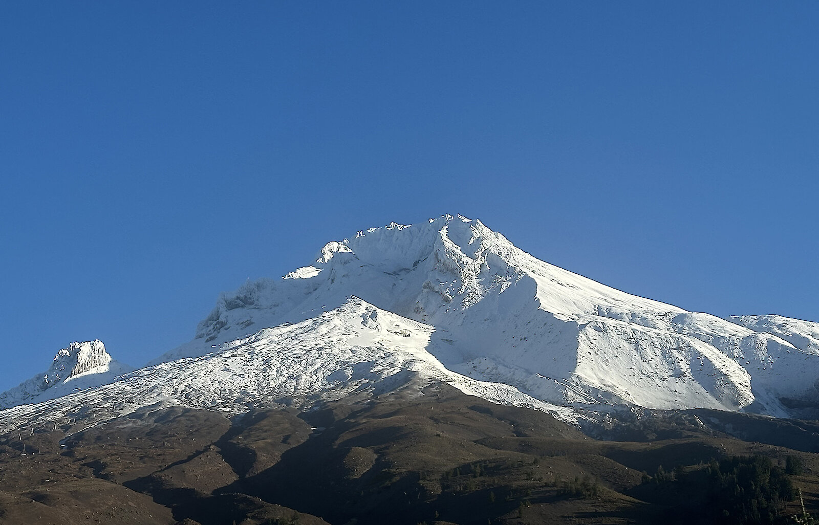 Snow-covered Mount Hood under a clear blue sky, viewed from Timberline Lodge with the lower slopes brown and bare and the upper mountain bright white with fresh snow.