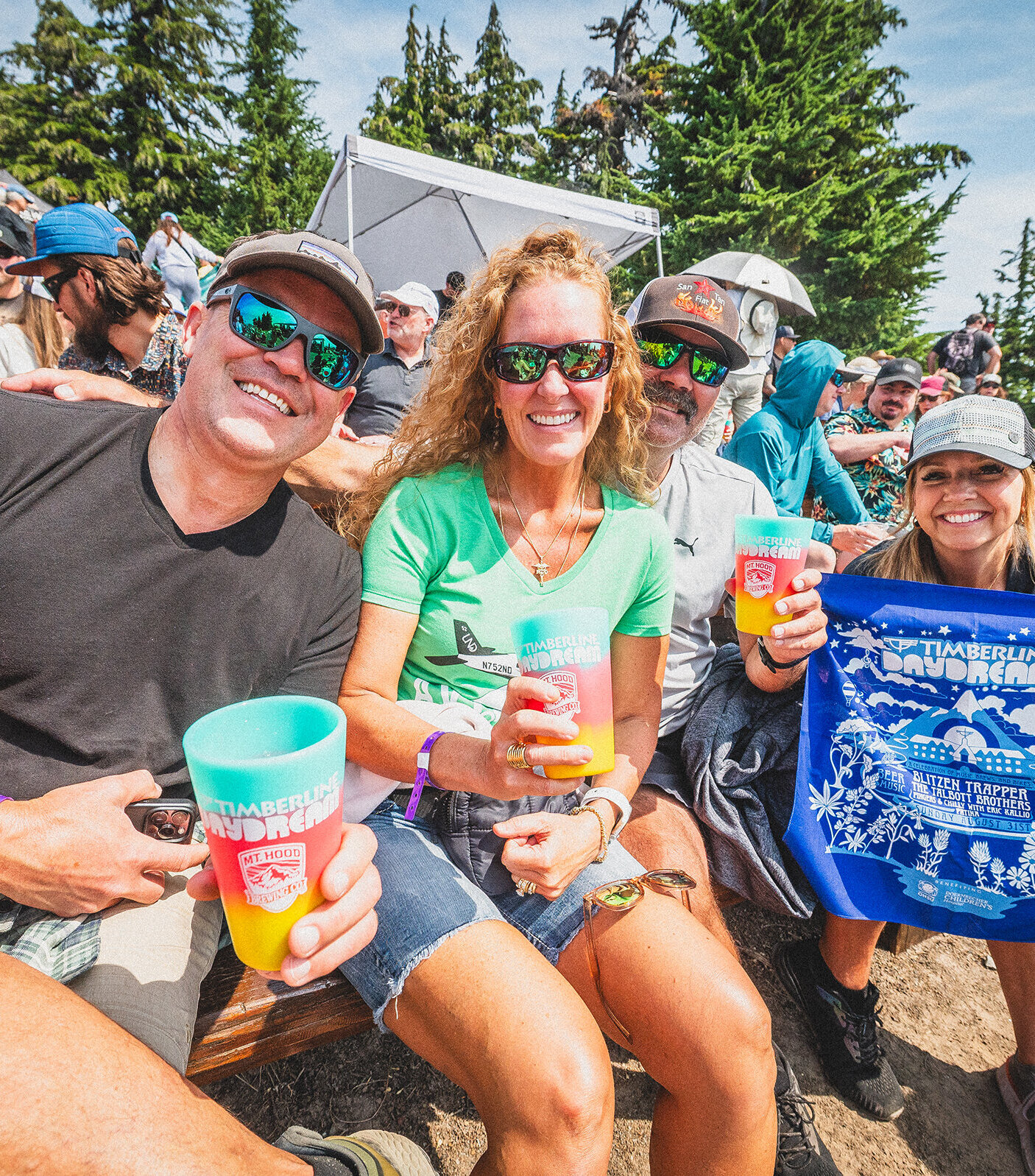 Outdoor live music performance at Timberline Daydream with a crowd gathered in front of a stage, Mount Hood visible in the background.