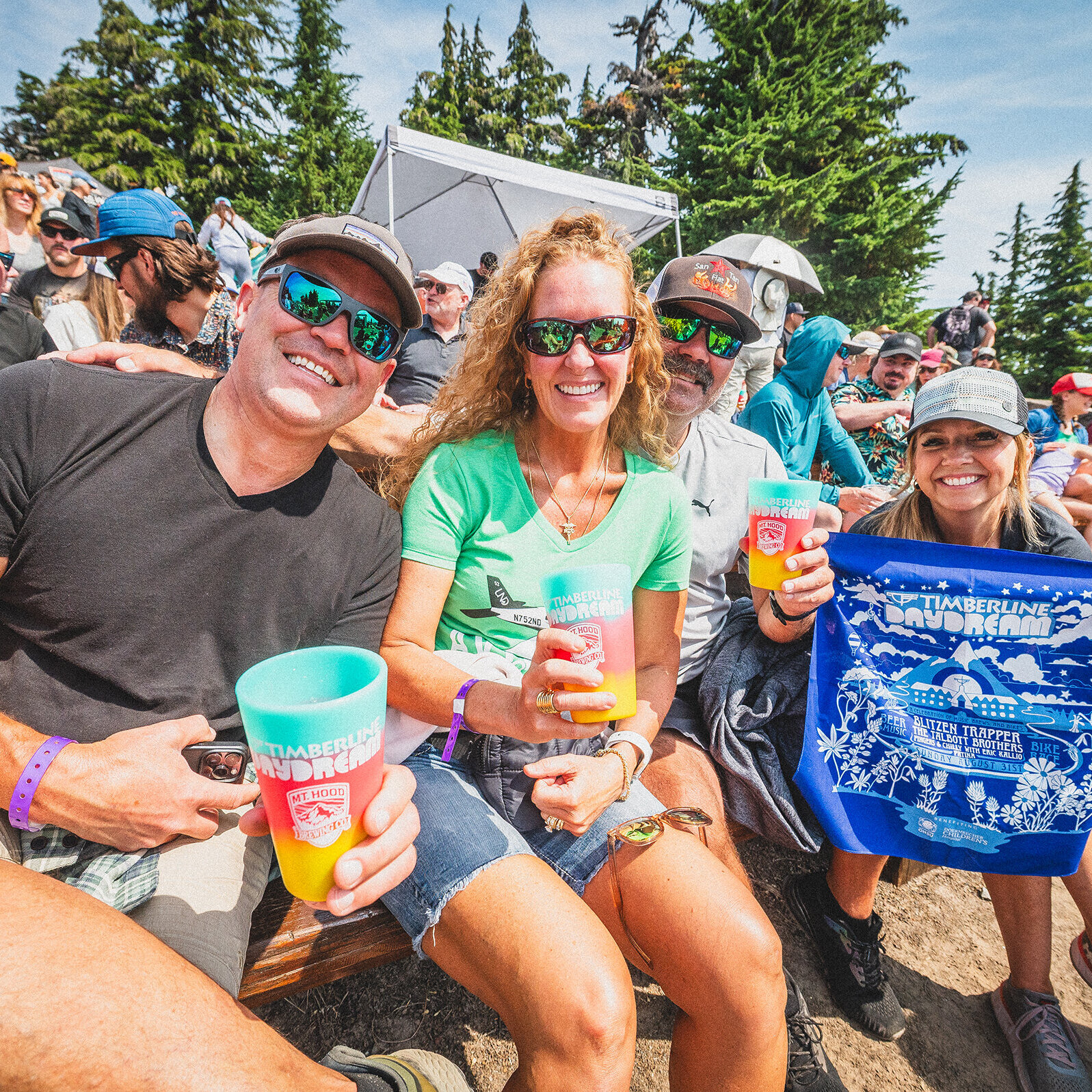 Outdoor live music performance at Timberline Daydream with a crowd gathered in front of a stage, Mount Hood visible in the background.