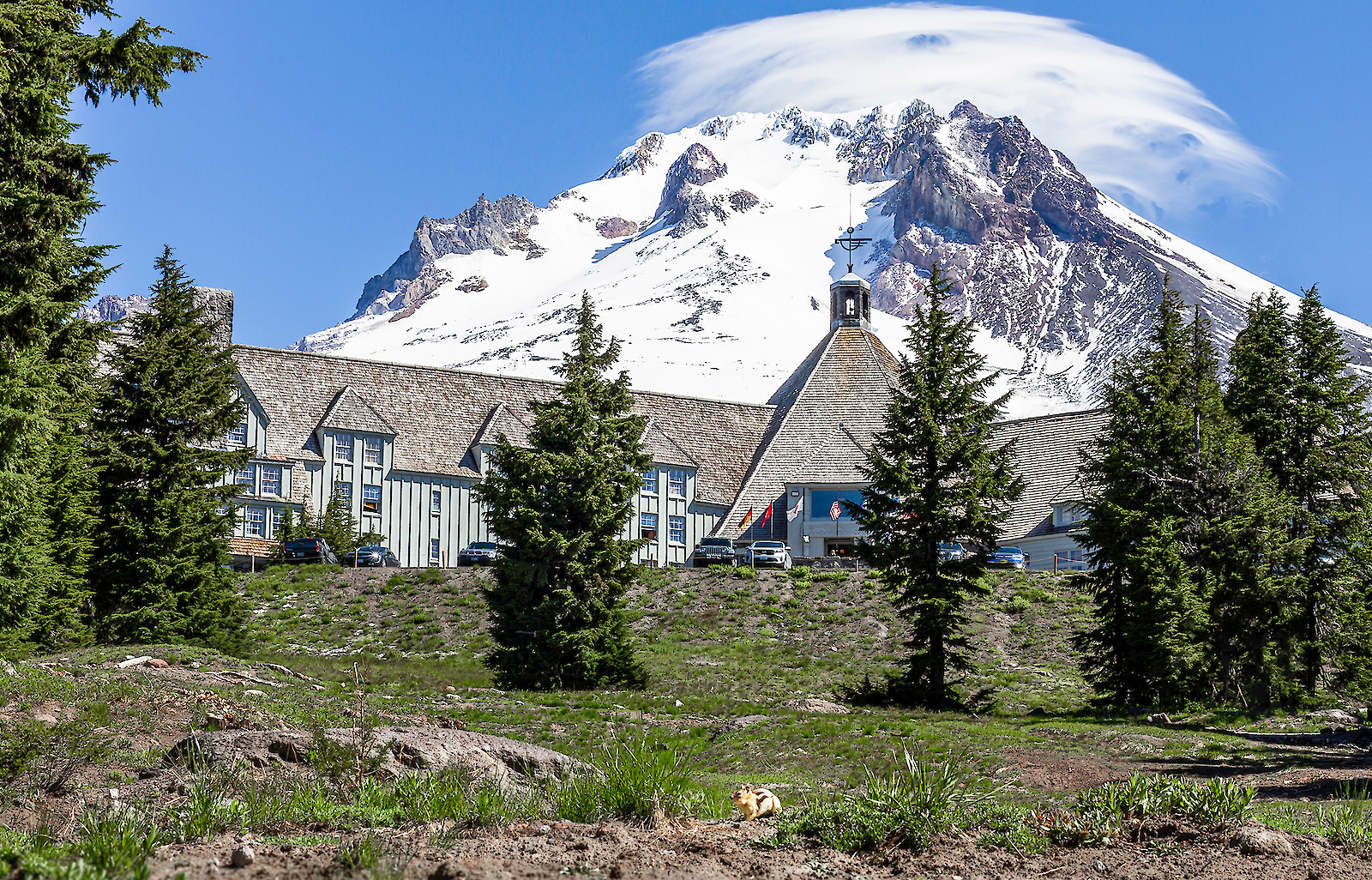 Timberline Lodge pictured in the early summer with green space and fir trees in front and a snowy Mt. Hood behind, capped in a cloud cover surrounded by blue skies.