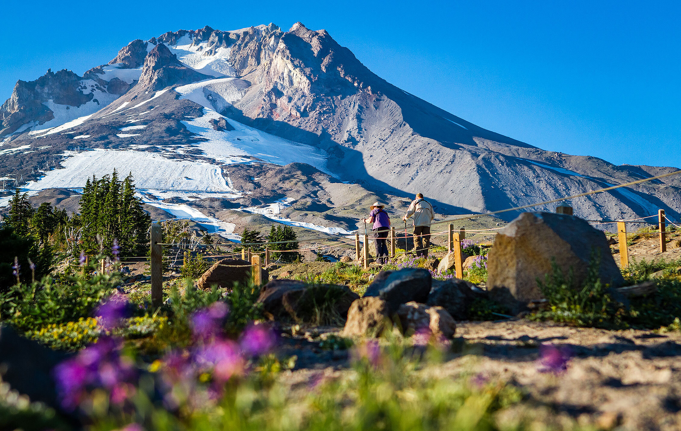 Two people hiking at Timberline Lodge on Mt. Hood