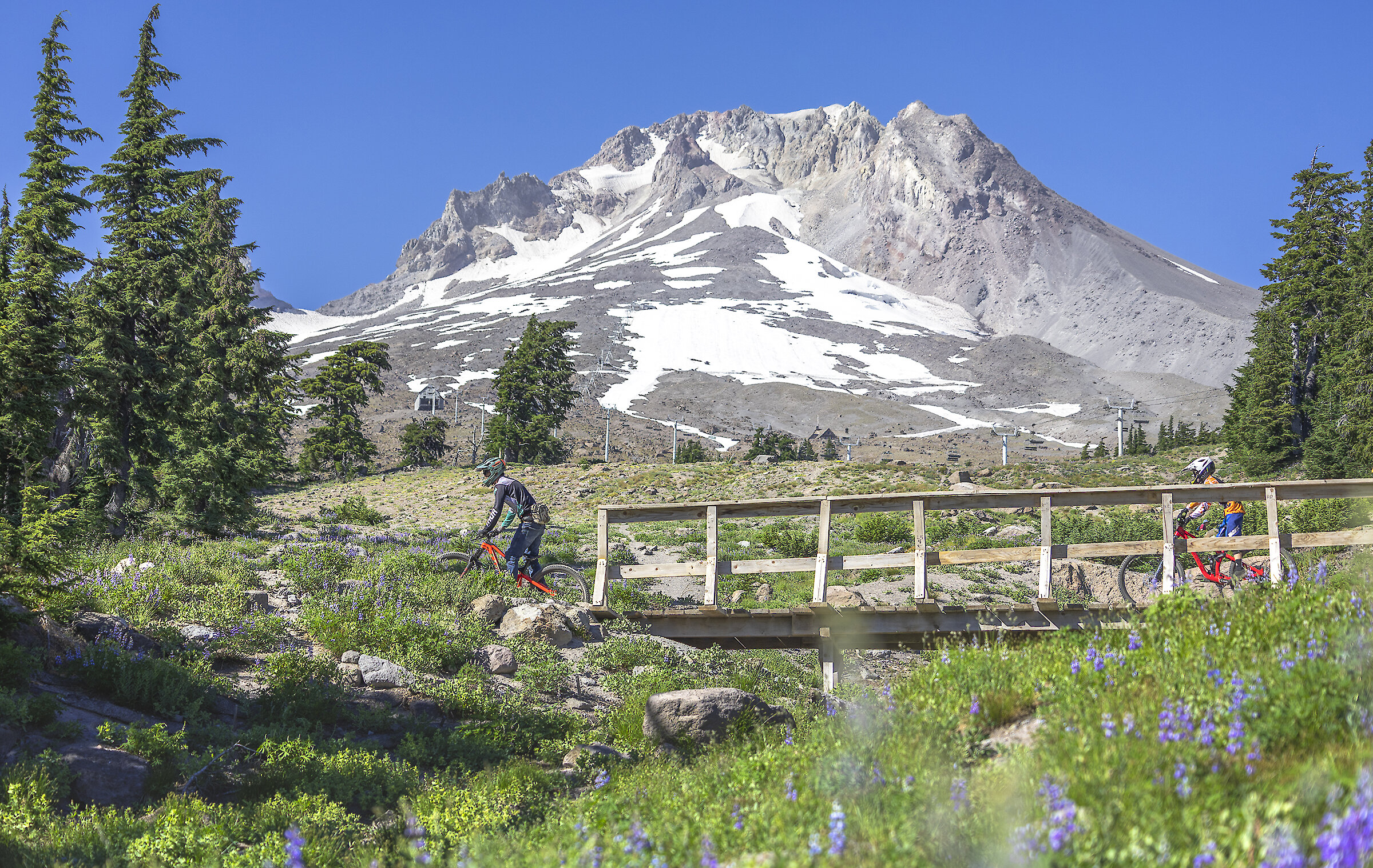 Two mountain bikes crossing a bridge in the Timberline Bike Park on Mt. Hood