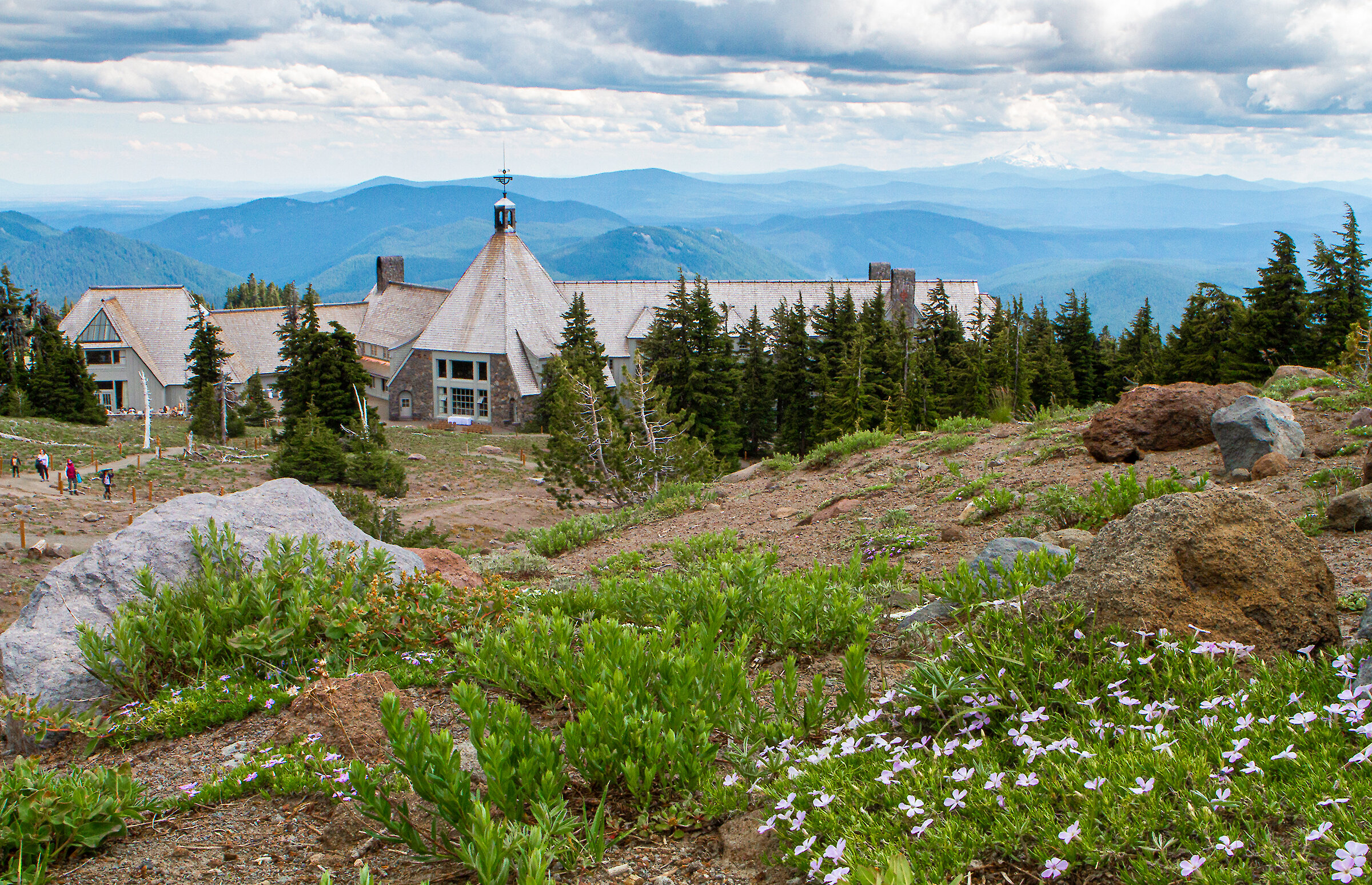 Wildflowers in bloom overlooking Timberline Lodge on Mount Hood with mountain views and dramatic clouds in Oregon.