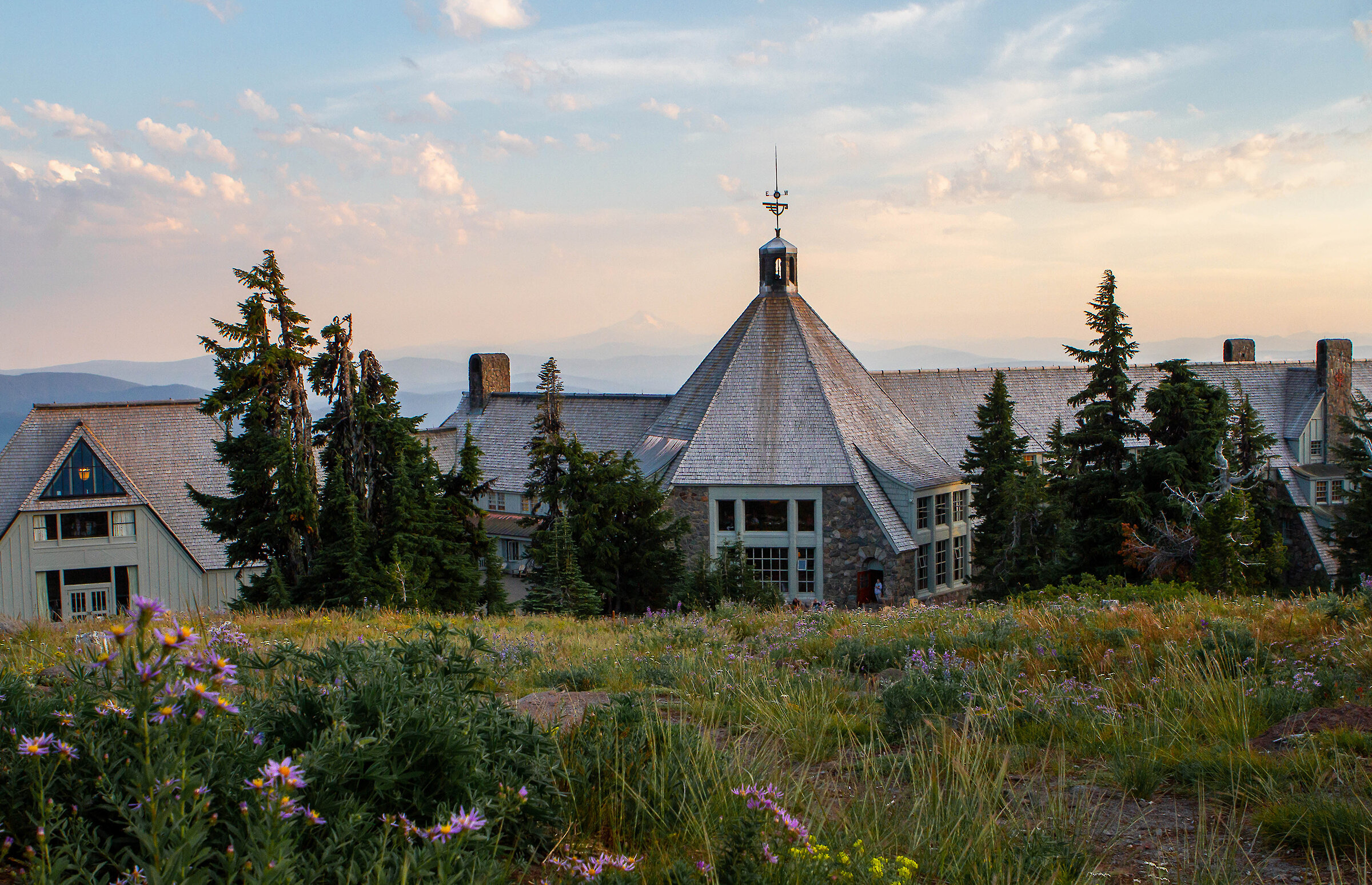 The back of Timberline Lodge pictured on a summer evening with wildflowers in the foreground and Mt Jefferson in the background