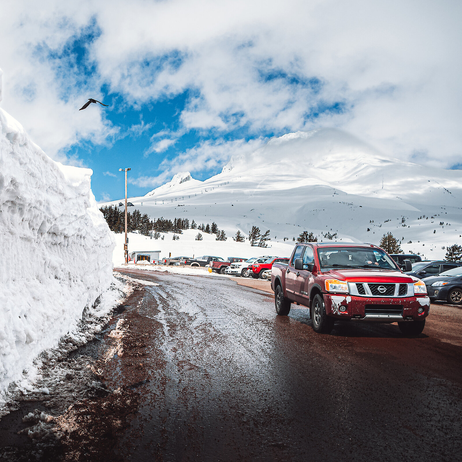 Parking at Timberline