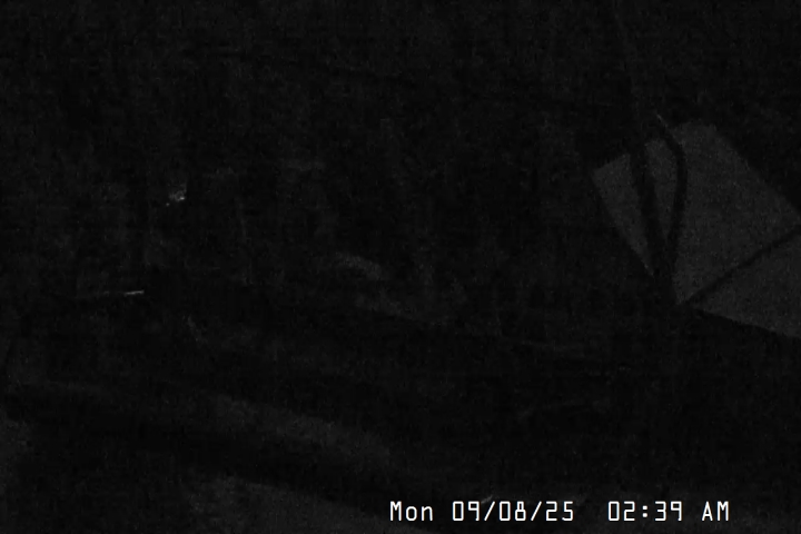 Live Feed: Magic Mile Camera