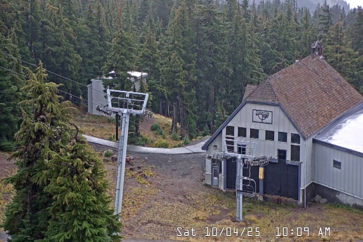Live Feed: Magic Mile Camera