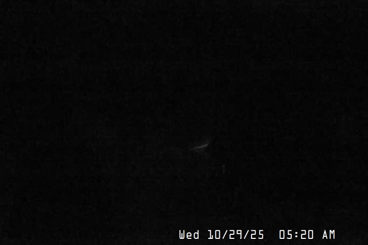 Live Feed: Magic Mile Camera