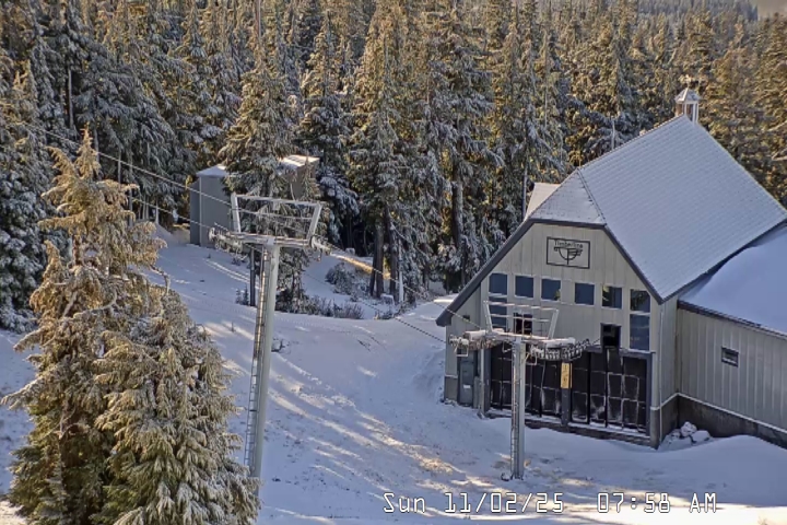 Live Feed: Magic Mile Camera