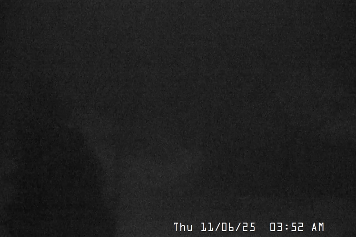 Live Feed: Magic Mile Camera