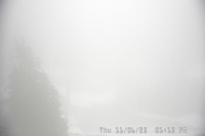 Live Feed: Magic Mile Camera