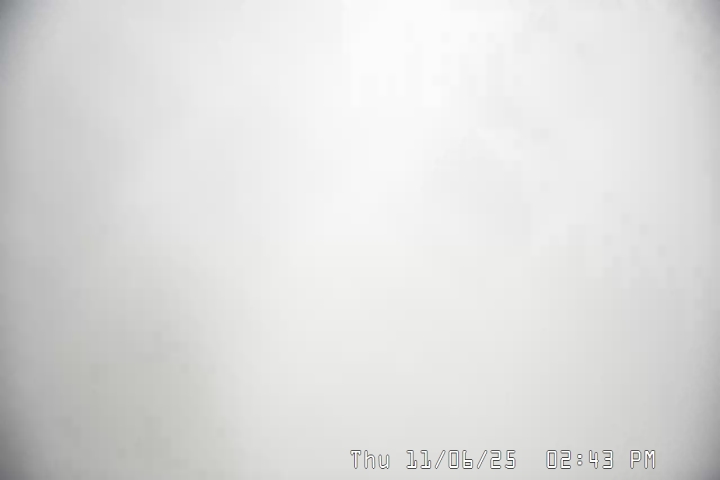 Live Feed: Magic Mile Camera