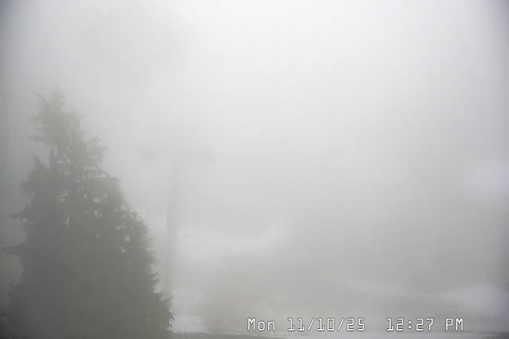 Live Feed: Magic Mile Camera