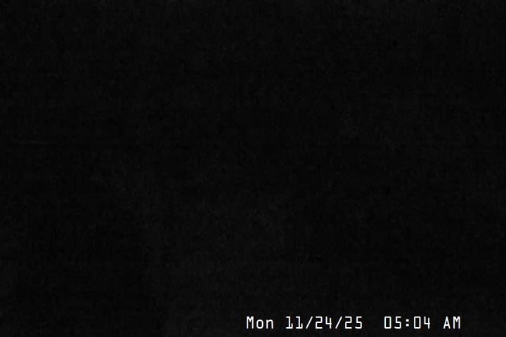 Live Feed: Magic Mile Camera