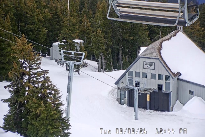 Live Feed: Magic Mile Camera