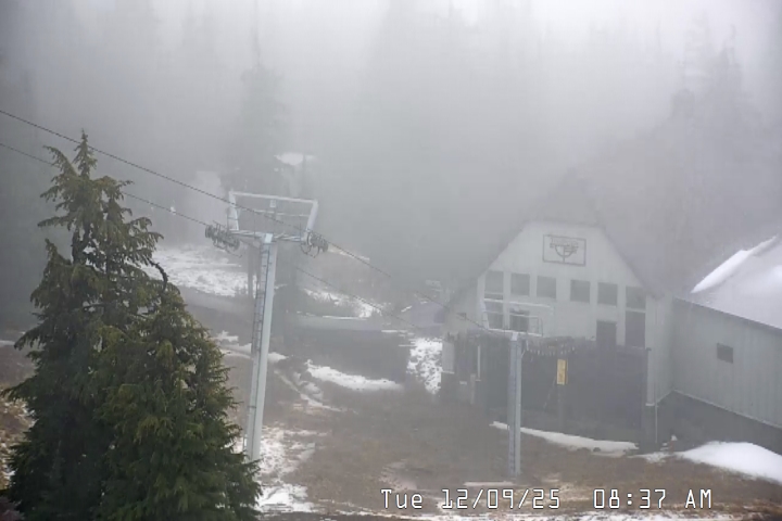 Live Feed: Magic Mile Camera