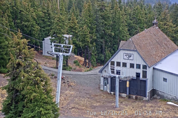 Live Feed: Magic Mile Camera