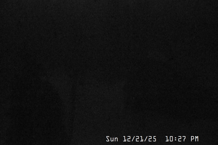 Live Feed: Magic Mile Camera