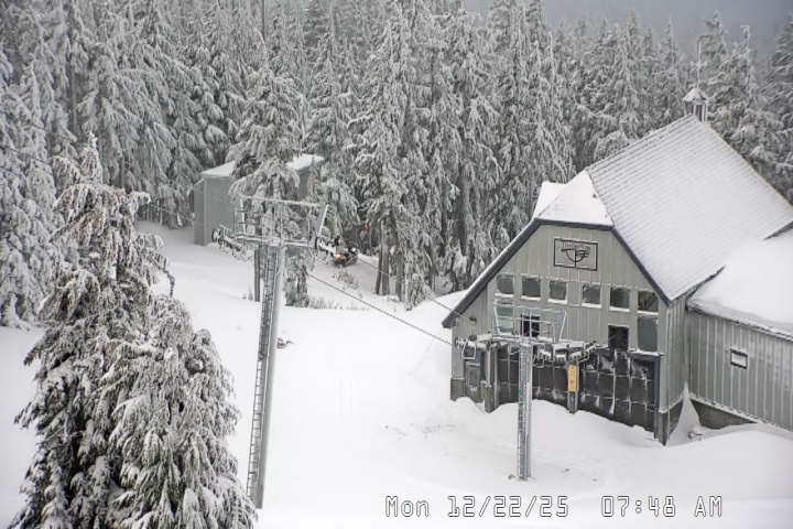 Live Feed: Magic Mile Camera