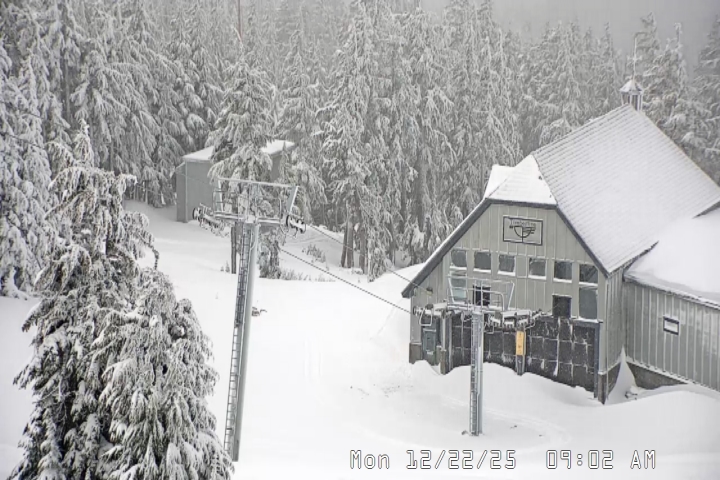 Live Feed: Magic Mile Camera