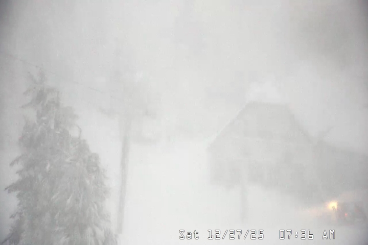 Live Feed: Magic Mile Camera