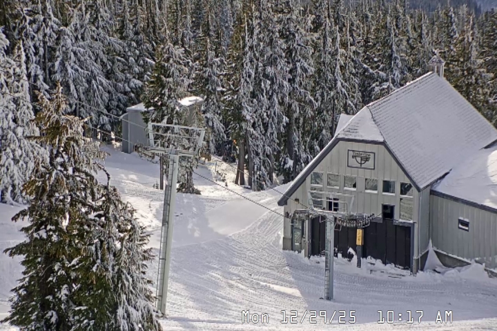 Live Feed: Magic Mile Camera