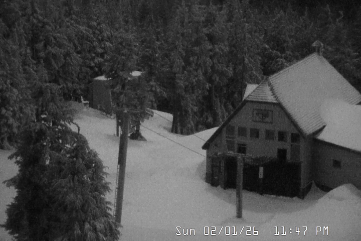 Live Feed: Magic Mile Camera