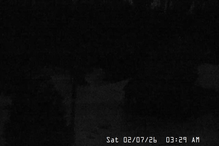 Live Feed: Magic Mile Camera