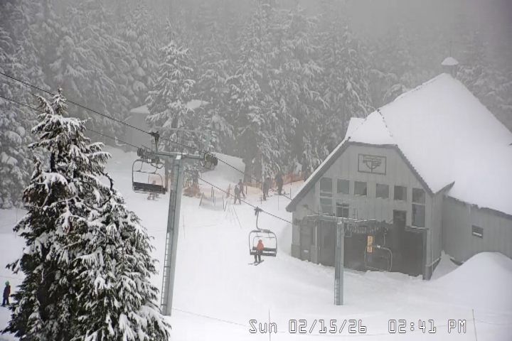 Live Feed: Magic Mile Camera