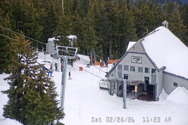 Live Feed: Magic Mile Camera