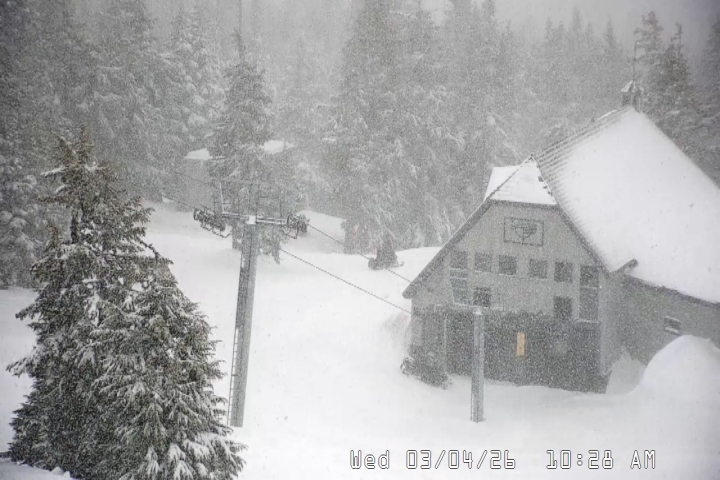 Live Feed: Magic Mile Camera