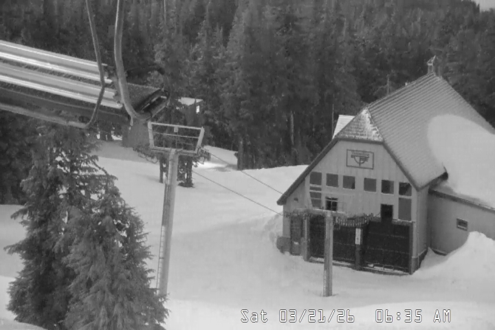 Live Feed: Magic Mile Camera