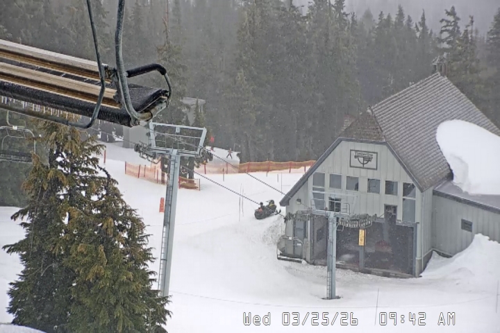 Live Feed: Magic Mile Camera