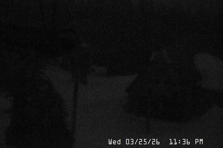 Live Feed: Magic Mile Camera