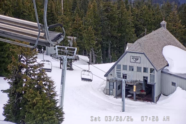 Live Feed: Magic Mile Camera