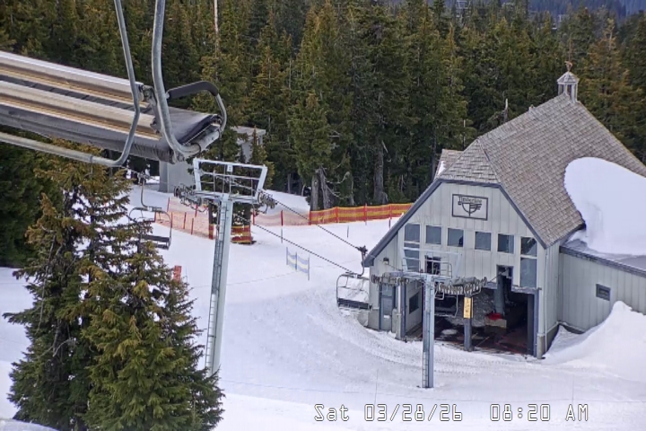 Live Feed: Magic Mile Camera