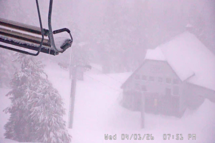 Live Feed: Magic Mile Camera