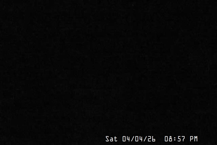 Live Feed: Magic Mile Camera