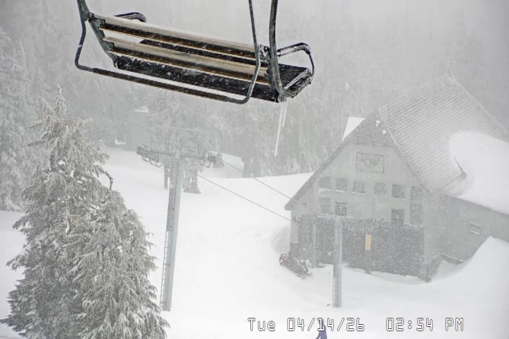 Live Feed: Magic Mile Camera