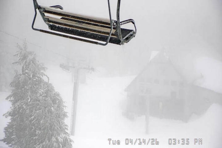 Live Feed: Magic Mile Camera