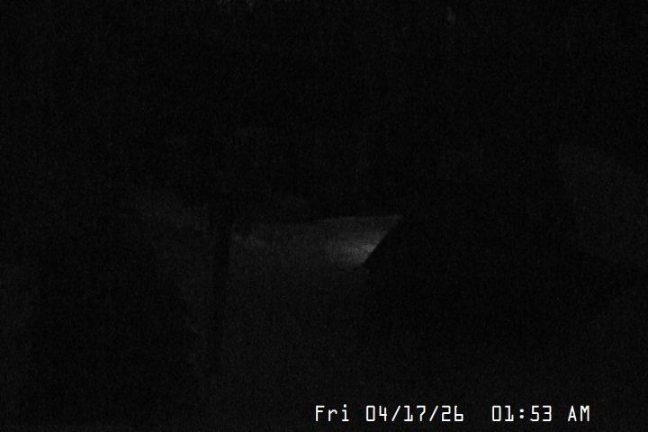 Live Feed: Magic Mile Camera