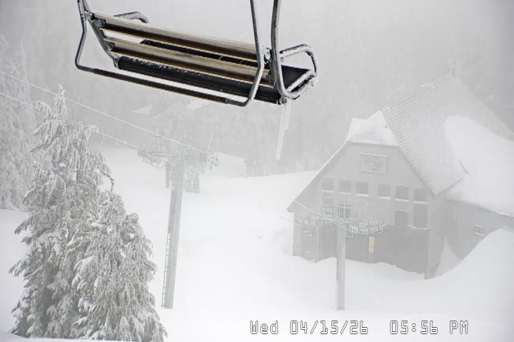 Live Feed: Magic Mile Camera