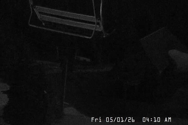 Live Feed: Magic Mile Camera