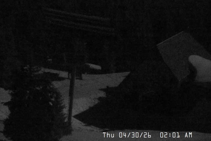 Live Feed: Magic Mile Camera