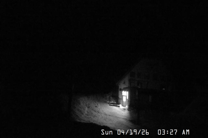 Live Feed: Magic Mile Camera