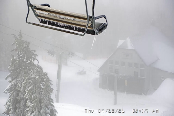 Live Feed: Magic Mile Camera